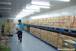 江苏冷库建设成本解析与优质工程公司推荐，兼论轨道交通对冷链物流的推动