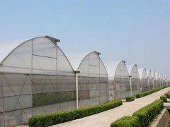 淄博温室大棚建造 一流价格与专业服务解析